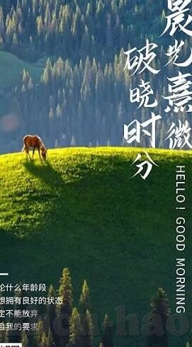 91麻豆网站免费-探寻网络内容背后的真相，以91麻豆网站免费为例