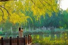成人麻豆手机av在线-成人内容与网络道德的边界探讨