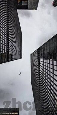 大象传媒下载安装官方-探索大象传媒下载安装的官方途径与安全考量