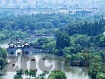 快猫回家视频麻豆-快猫回家，跨越平凡生活的温馨瞬间
