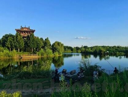 人妻av女优-探索人妻角色在AV文化中的独特魅力